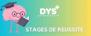 Stages de réussite 